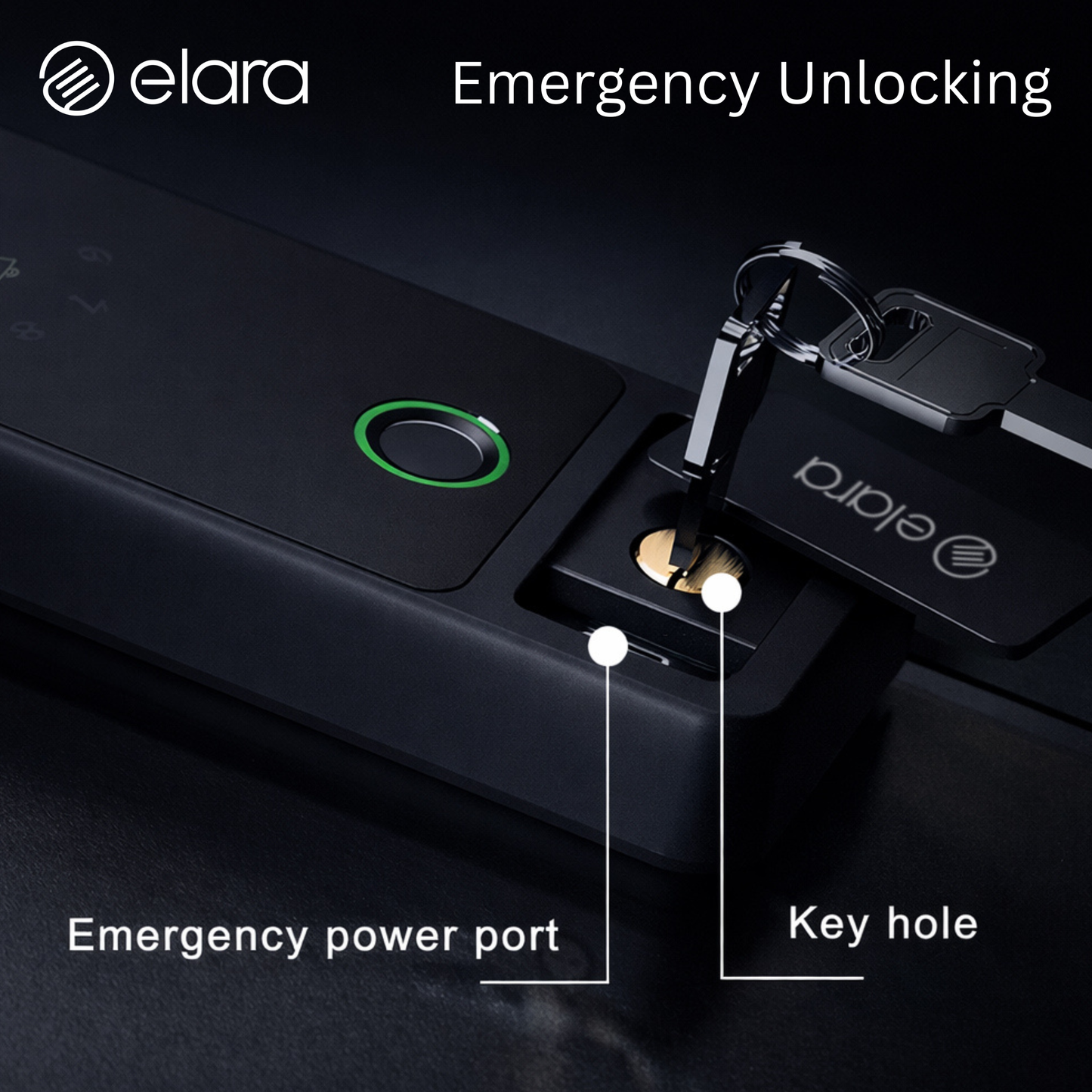 Elara GX-1 Smart Glass Door Lock, Fingerprint, Mobile App, PIN, RFID Card, 10-12 mm Glass Doors
